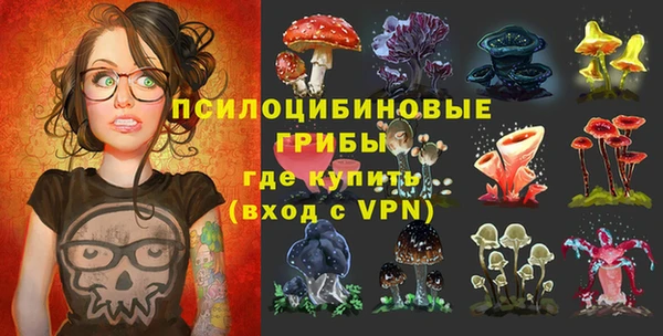 хмурый Липки