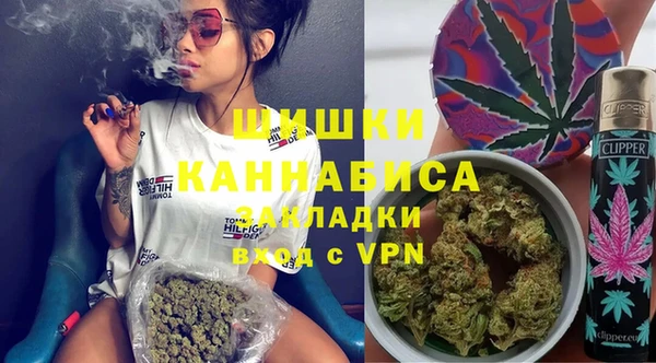 хмурый Липки