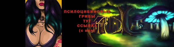 сатива Алексеевка