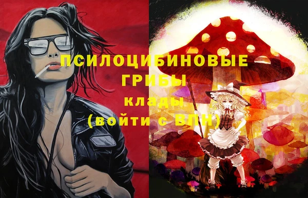 a pvp Лиски